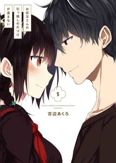 Oniisan no Hikkoshi no Kataduke ga Susumanai