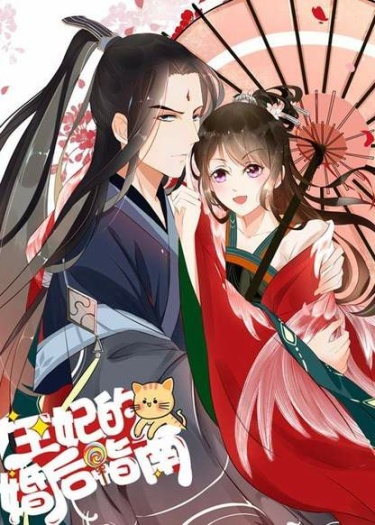 Wangfei de hun hou zhinan