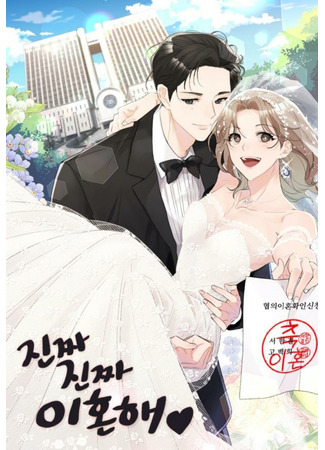 Really Truly Getting a Divorce