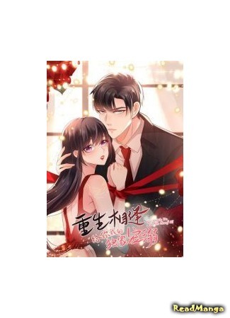 Rebirth Meeting: For You and My Exclusive Lovers