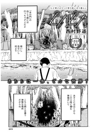 Shining and Shimmering