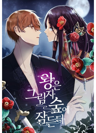 The king falls asleep in the shadow forest